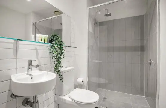 71167 317097 HpJO0Txn4SKuSl18LwkSyi7mhQUL 7dbbq9L6pi2hMU 670a1f6bee53f.jpg