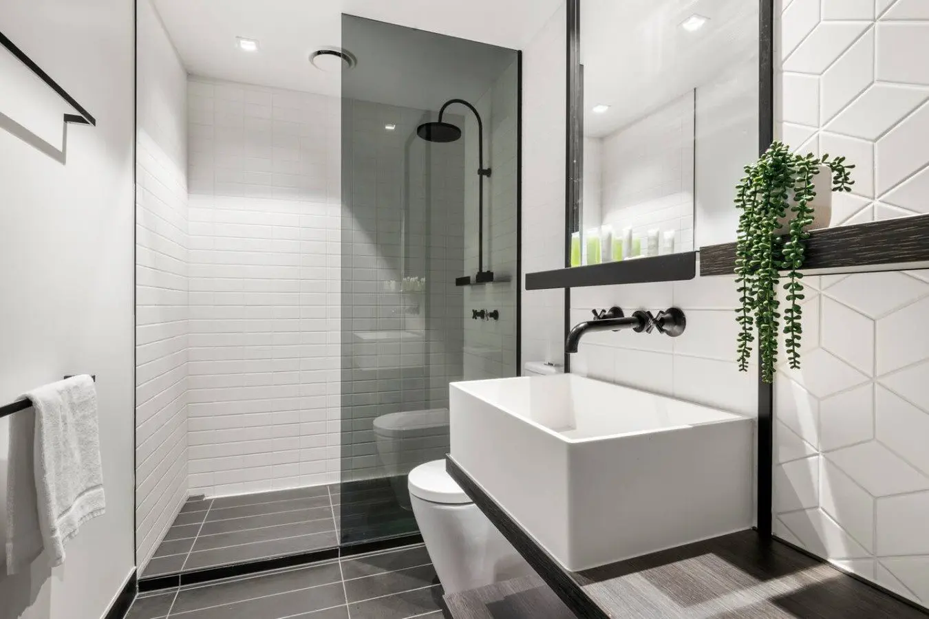 71167 347224 QG4IXrxNyxKTtPyDoTiz9Y qta jafONQllwFz9cVWA 677b8e126249b.jpg