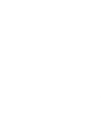 logo icon1
